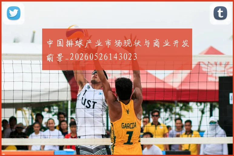 中国排球产业市场现状与商业开发前景_20260526143023