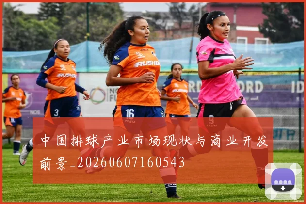 中国排球产业市场现状与商业开发前景_20260607160543